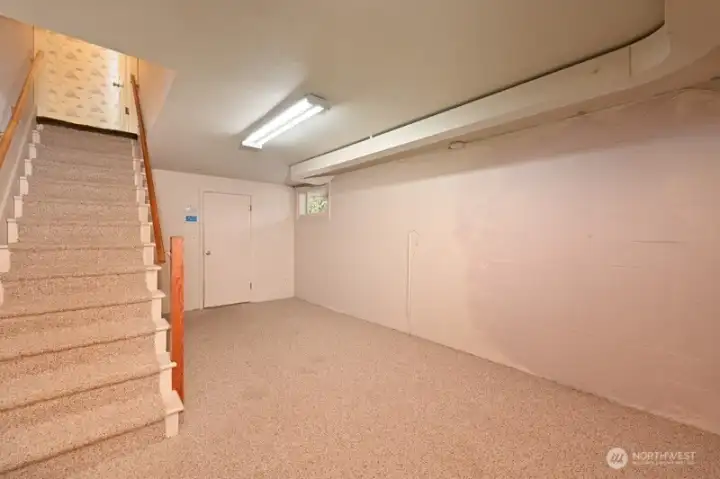 Stairs to Lower Level into the Bonus Room. Lots of storage. Door on far end is to the garage.