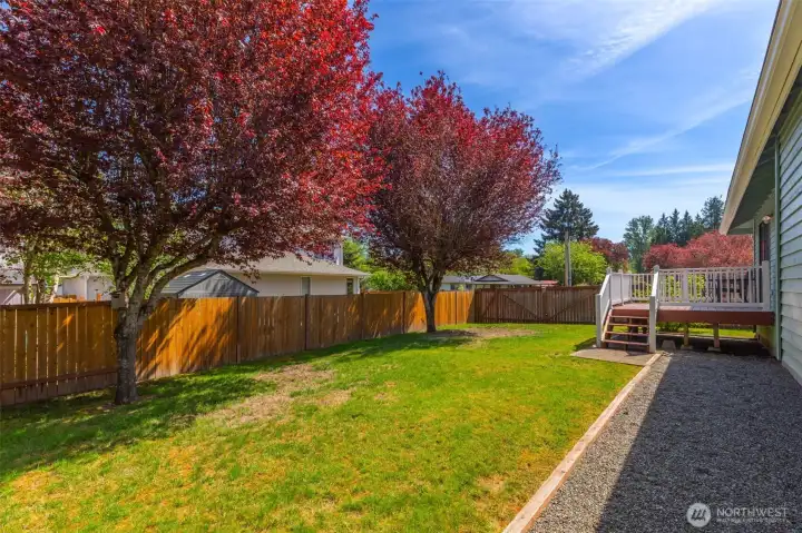 Two majestic shade trees are perfectly positioned to provide natural cooling and a private screen from neighboring homes. Enjoy the peace and quiet of this "neat as a pin" backyard, where established greenery creates a sense of total seclusion in the heart of the West Hill/Midway area. Two majestic shade trees are perfectly positioned to provide natural cooling and a private screen from neighboring homes. Enjoy the peace and quiet of this "neat as a pin" backyard, where established greenery creates a sense of total seclusion in the heart of the West Hill/Midway area.