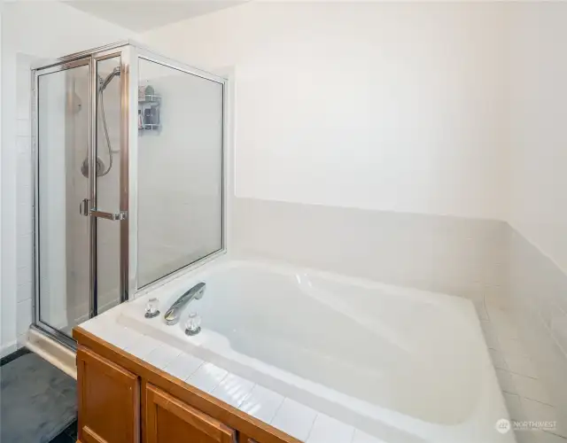 Bathroom Master with Shower and Soaking Tub
