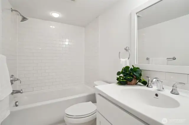 Lower level full bath