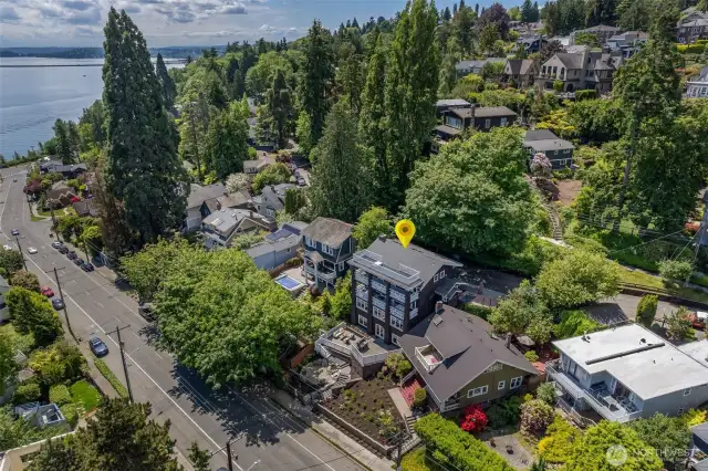 Incredible location for the best of Madrona, Lake Washington Parks, Leschi and Madison Park
