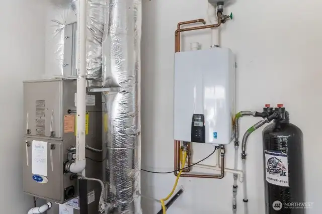 The on-demand hot water heather, and the regularly serviced furnace. There is a water filter system as well.