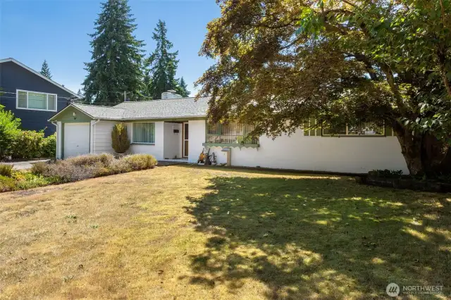 Lots of beautiful yard