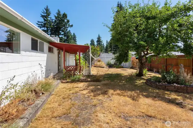 Backyard.  All prettied up now