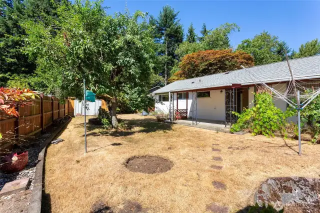 Another view of the fully fenced backyard with a large fruit tree and grapes.  In the forefront is a cement pond
