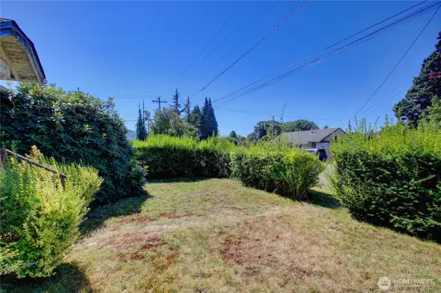 Spacious front yard