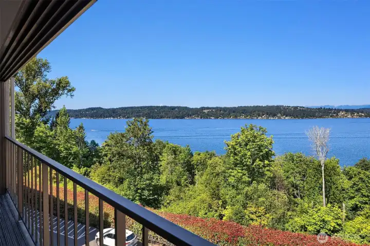 View from deck