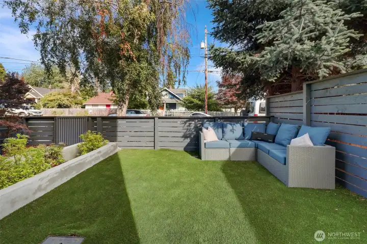 Low maintenance turf grass