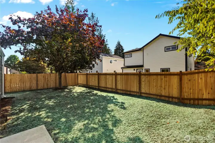 Backyard View 3 with mature tree