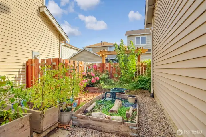 Cute yard and gardening area