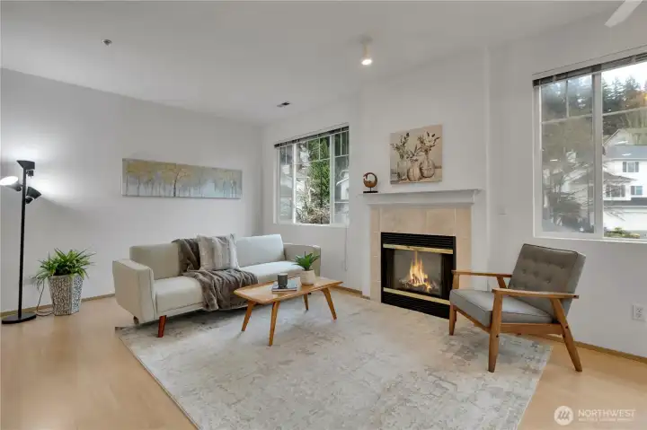 Cozy Gas Fireplace