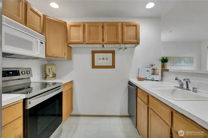 Brand New Faucet and Garbage Disposal in the Kitchen