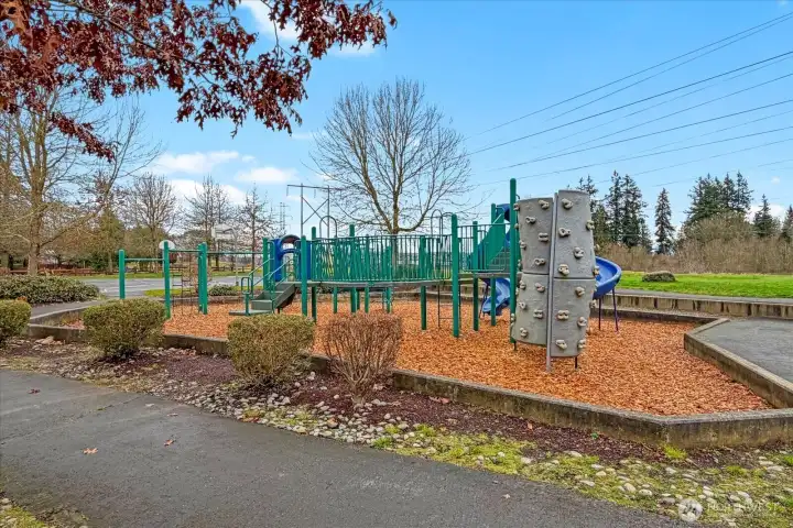 Common area playground