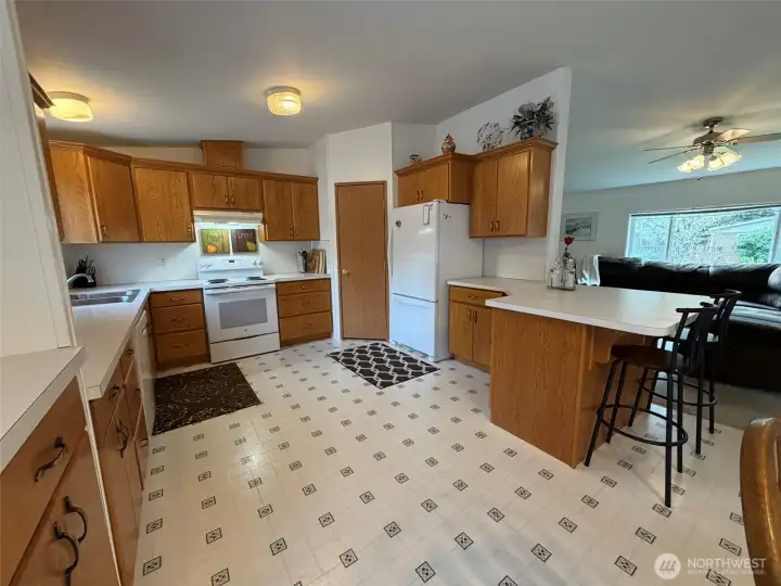 Huge kitchen with walk-in pantry.