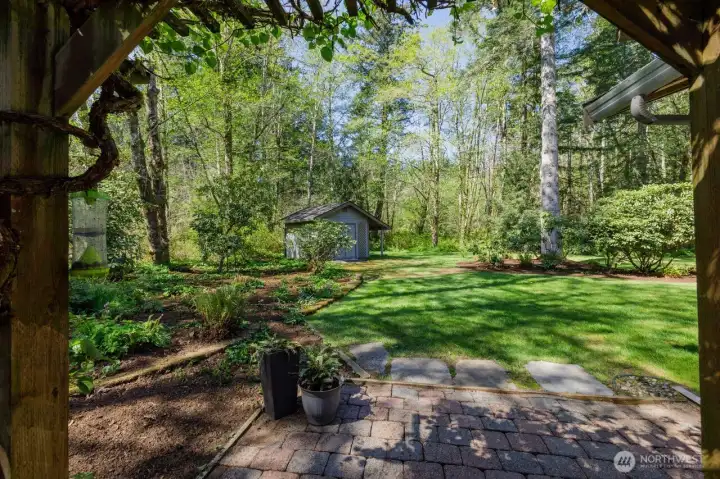 View out back from the arbor.