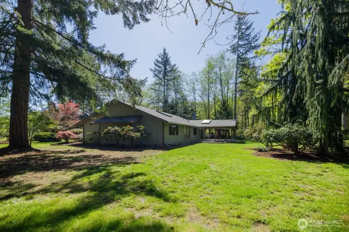 Sunny side yard wraps the house. Established plantings.