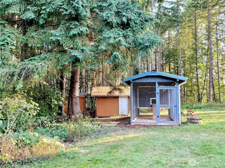 Chicken Coop