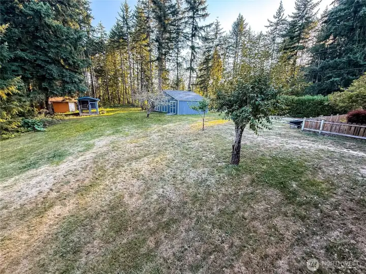 Huge side yard