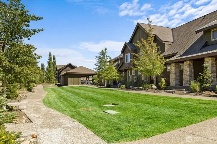 Neighborhood lawn for playing and pets