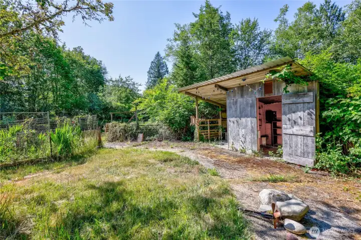 Side yard with shed