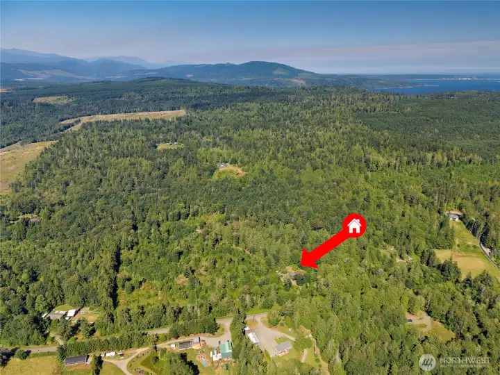 41.67 acres in the heart of Chimacum