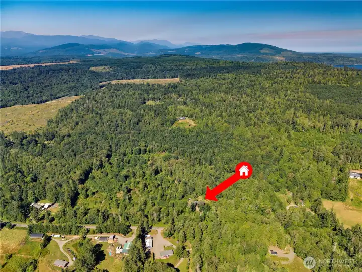 41.67 acres in the heart of Chimacum