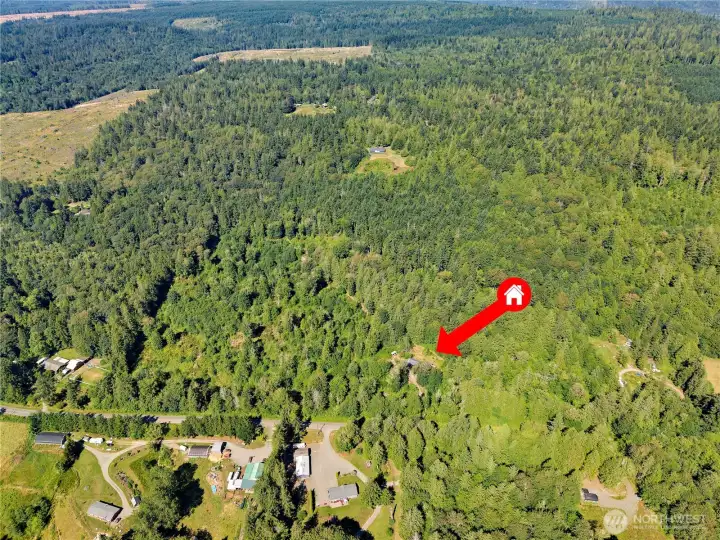 41.67 acres in the heart of Chimacum