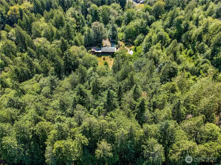41.67 acres in the heart of Chimacum