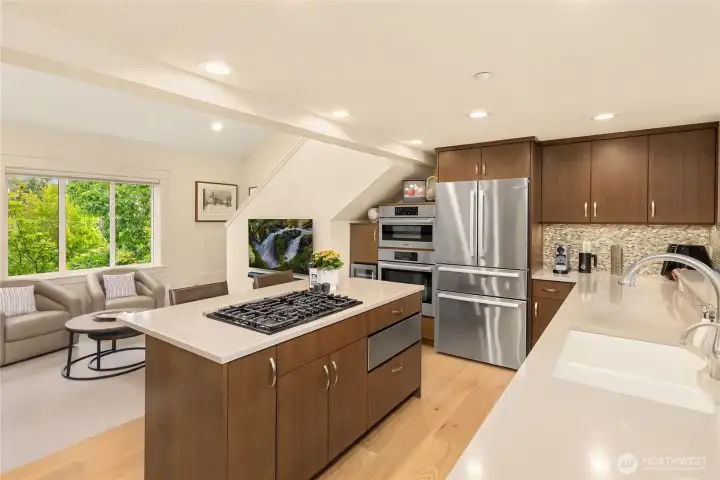 Beautiful chef's kitchen with quartzite countertops