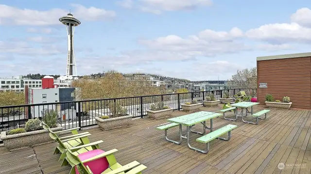 Rooftop deck with a BBQ grill and breathtaking views of the city skyline and Space Needle - perfect for watching the New Year's Eve fireworks.