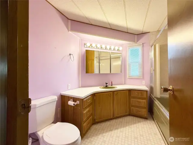 Look at the great size of the main hallway bathroom with shower over the tub.