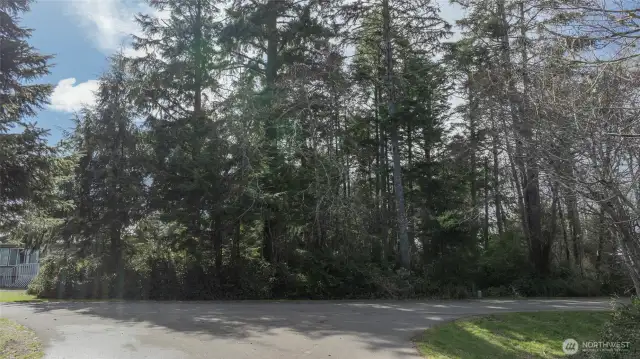 Lovely location to build your beach cabin or RV camp part of the year!