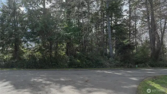 Selectively clear to enjoy the mature trees on property.