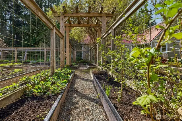 Potager Kitchen Garden