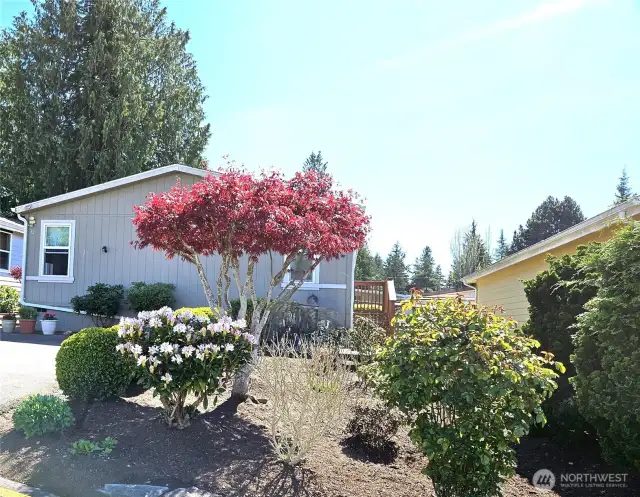 Light-filled three bedroom and two bath home in an over 55 senior park.