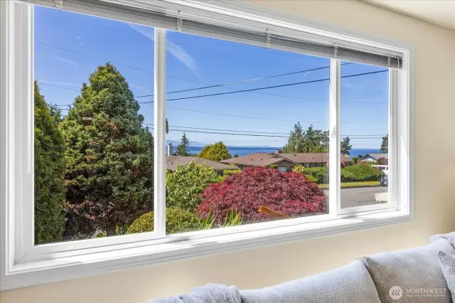 Recorded view easement for your benefit; please refer to Title Report, buyer to verify