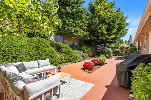 Back patio - perfect for hosting!