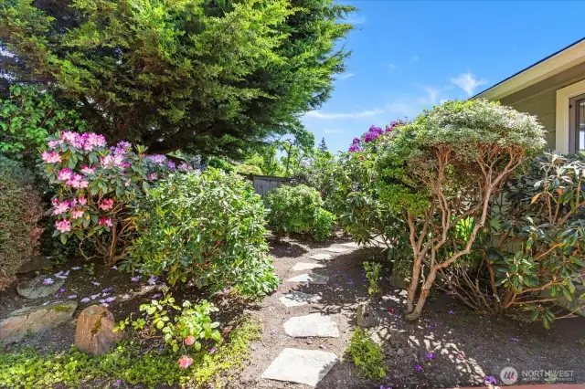 Side yard with pathway to garden