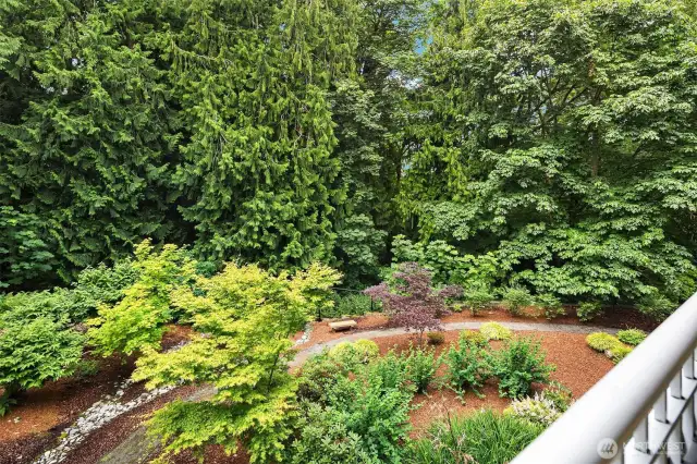 View from unit patio
