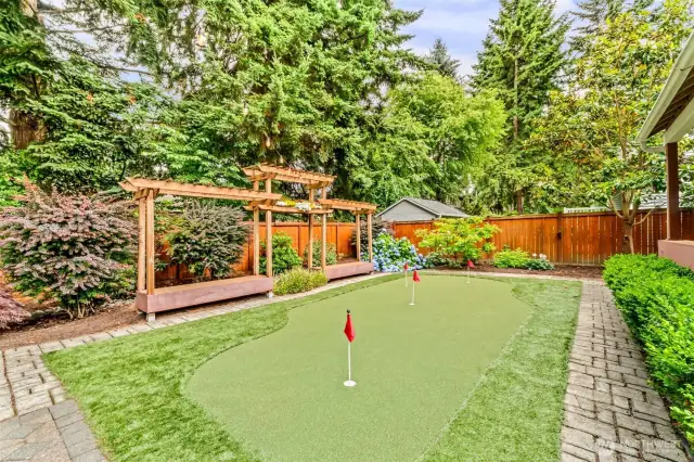 Custom Turf Yard