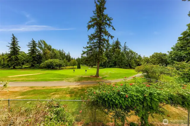View of the course from the back deck.