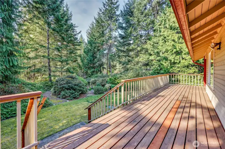 Sunny deck leading out to pathways. The garden is low maintenance and well maintained.
