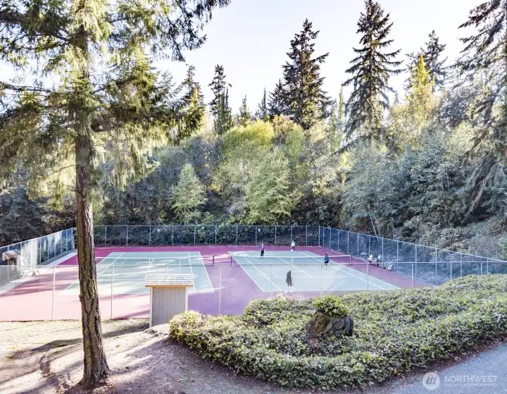Tennis and pickleball courts.