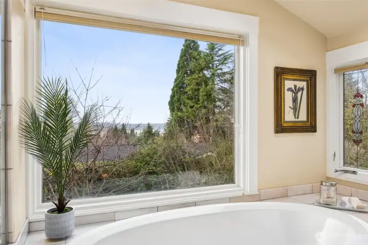 Peek views from the Primary!