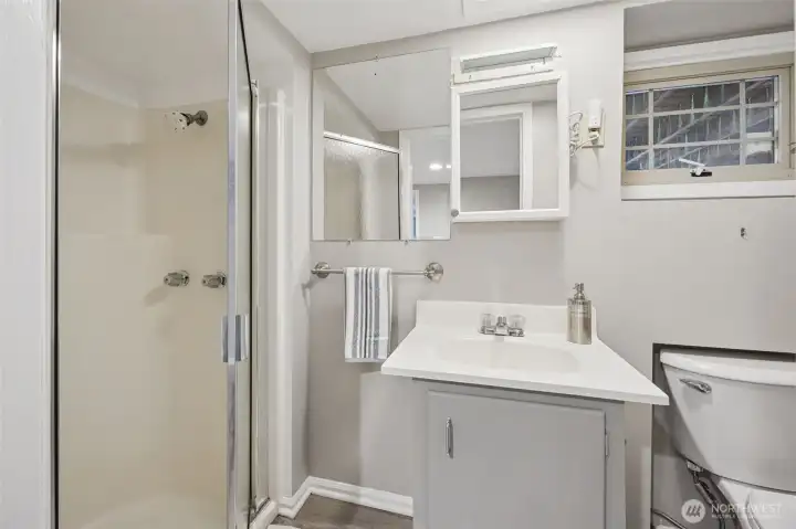 Lower level 3/4 bath