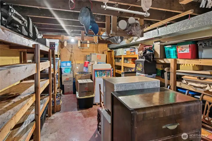 large basement area with lots of dry storage.