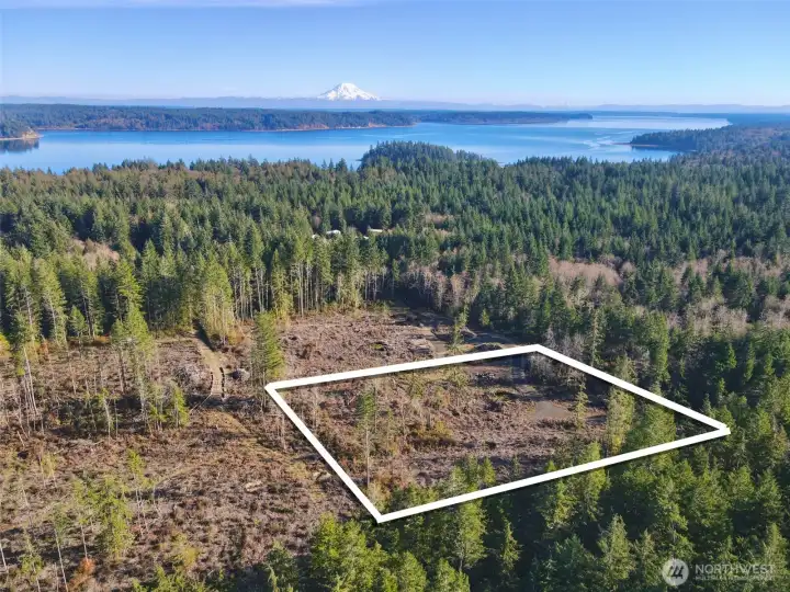 Overhead view with approximate boundaries in white.