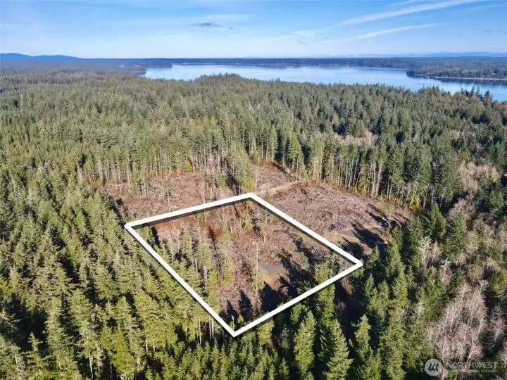 Overhead view with approximate boundaries in white.