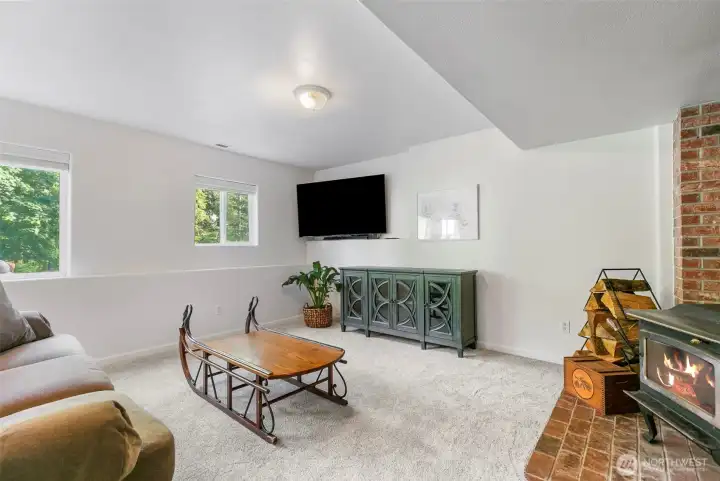 Lower Level living space