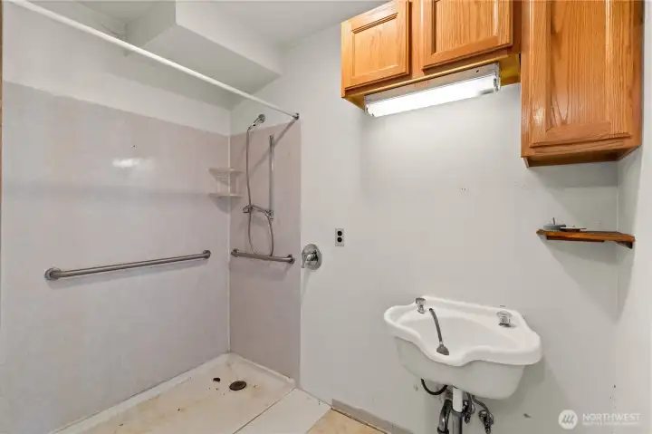 Lower level bathroom with shower and sink